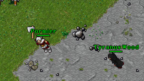 Pormier on screen