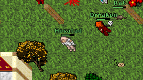 Hosatad on screen