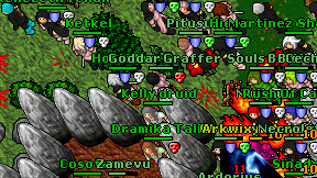 Kelly druid on screen