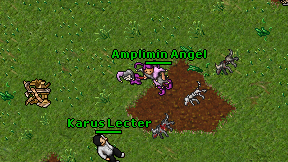 Amplimin Angel on screen