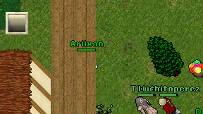 Ariixan on screen
