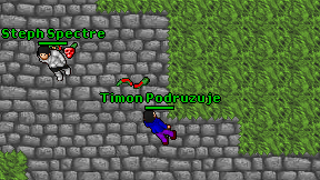 Timon Podruzuje on screen