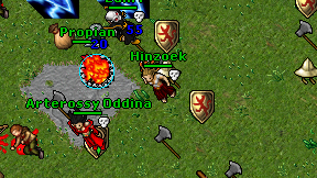 Hinzoek on screen