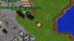 Dariou on screen