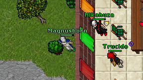 Magnusborn on screen