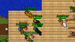 Pikee on screen