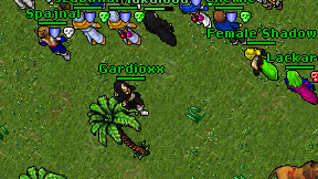 Gardioxx on screen