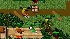 Maja Sha on screen