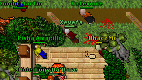 Xevefa on screen