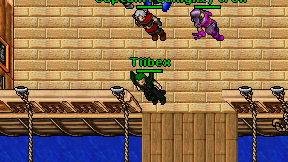 Tiibex on screen