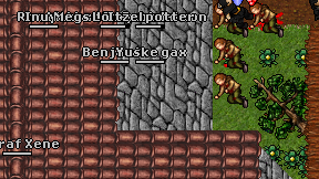 Fyletraf Xene on screen