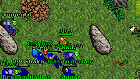 Buel on screen