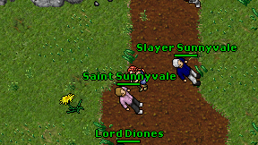 Saint Sunnyvale on screen