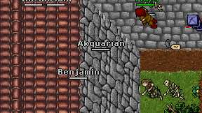 Akquarian on screen