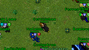 Celtizinhax on screen