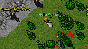 Nelu Verix on screen