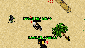 Druid Xarakire on screen