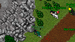 Schaap on screen
