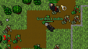Gurdin Lindin on screen