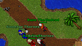Rune The Undead on screen