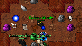 Katess shady on screen