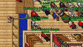 Darkness Sage on screen