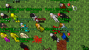 Fluth on screen