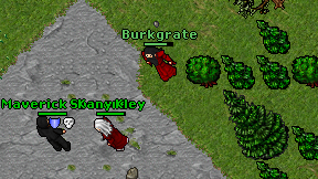 Burkgrate on screen