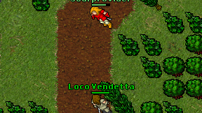 Loco Vendetta on screen