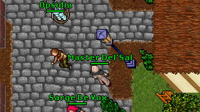 Master Del'Sal on screen