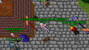Icey Elemental-Knight on screen