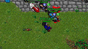 Pitisko on screen
