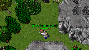 Weztopoczuj on screen