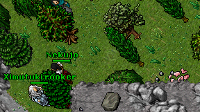 Nekujo on screen