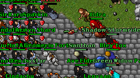 Shadow'Stormrider on screen