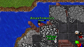 Anastomosis on screen