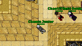Chamin Junior on screen