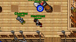 Nesttex on screen