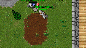 Zowerana on screen