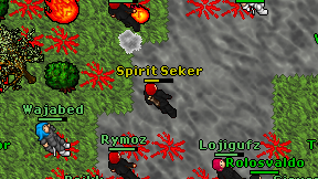 Spirit Seker on screen