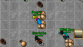Panvi on screen