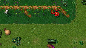 Clovi on screen