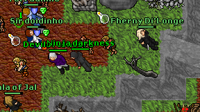 Ninja darkness on screen