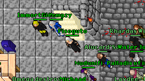 Fisoguto on screen