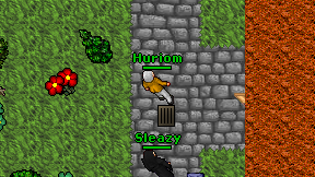 Huriom on screen