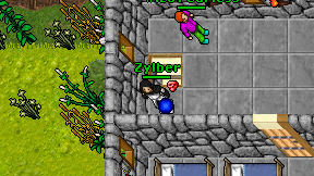 Zylber on screen