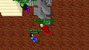 Anlui Druid on screen