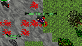 Paim'The Legend on screen