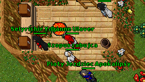 Szopus zabujca on screen