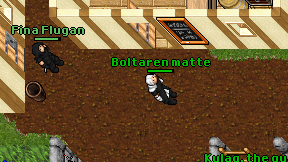 Boltaren matte on screen